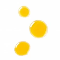 Dr. Hauschka Gezichtsolie -Verzorgingsproducten Winkel 1043671 4