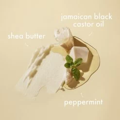 Shea Moisture Jamaican Black Castor Oil Strenghten & Restore Shampoo 6 Shea Moisture Jamaican Black Castor Oil Strenghten & Restore Shampoo -Verzorgingsproducten Winkel 1049787 3