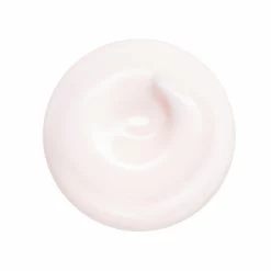 Shiseido Essential Energy Hydrating Cream -Verzorgingsproducten Winkel 1072531 3
